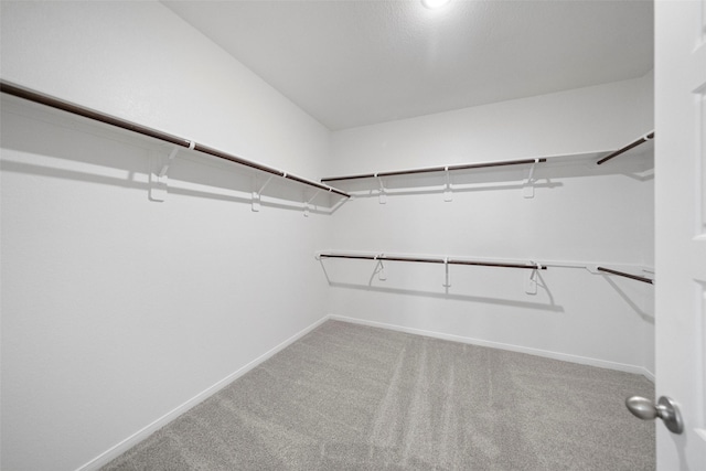 walk in closet with carpet floors