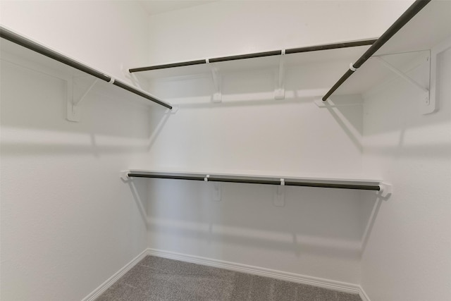 6835 New York St, Houston, TX 77021 - walk in closet with carpet flooring