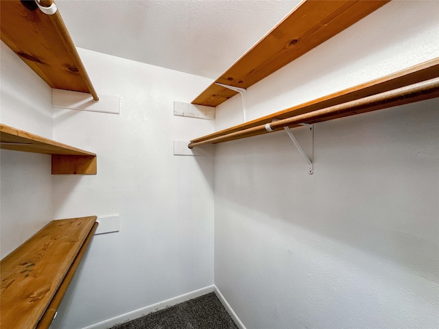 spacious closet featuring carpet floors