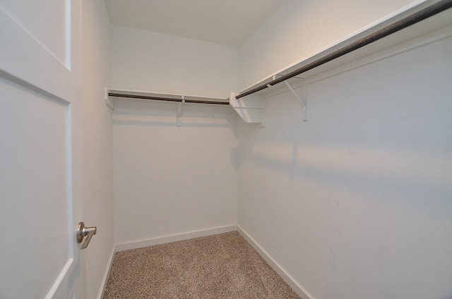 walk in closet with carpet floors