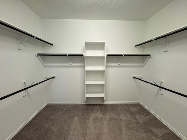 spacious closet featuring carpet