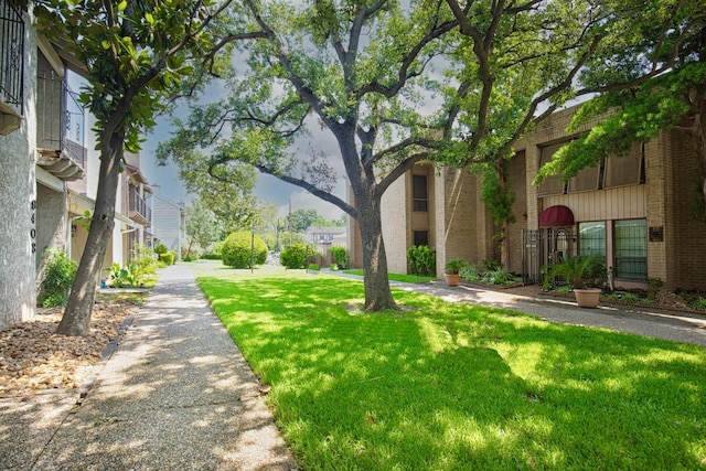 view of community with a yard