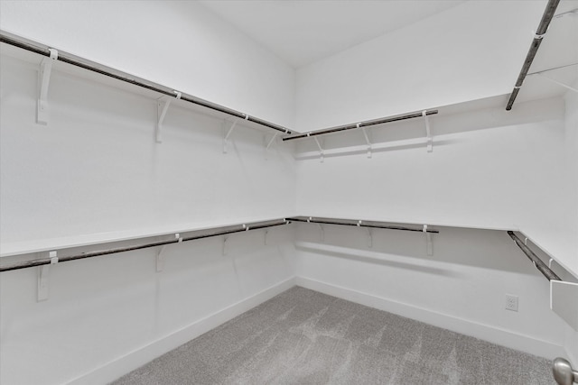 spacious closet with carpet flooring