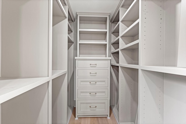 spacious closet featuring light wood-style flooring