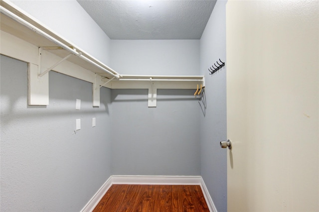 walk in closet featuring wood finished floors