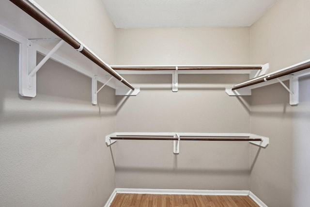 spacious closet featuring wood finished floors