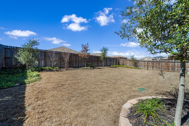 view of yard featuring a fenced backyard