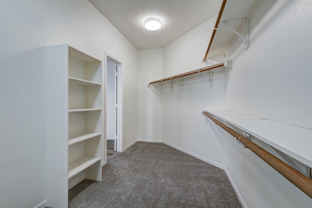 spacious closet with dark carpet