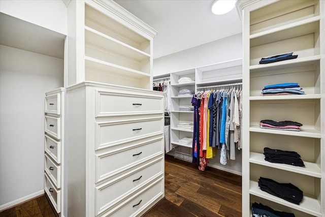 spacious closet featuring dark wood-style floors