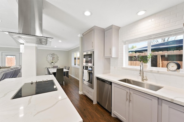 kitchen featuring stainless steel appliances, dark wood-type flooring, a sink, and light stone countertops