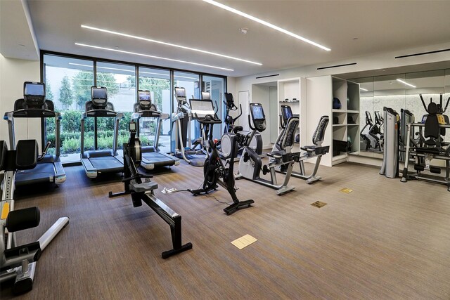 workout area featuring a wall of windows and carpet