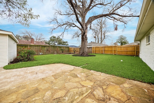 view of yard with a patio area and a fenced backyard