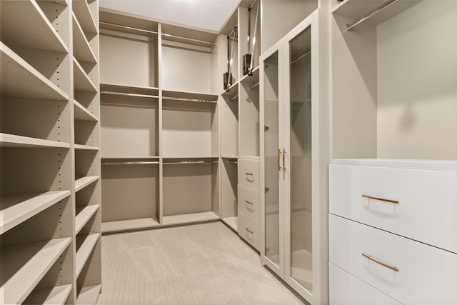 walk in closet with light carpet