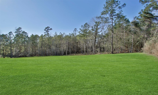 view of yard featuring a forest view