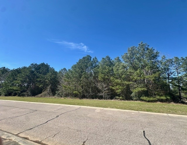 26130 E Crown Crossing Dr, Montgomery TX, 77316 land for sale