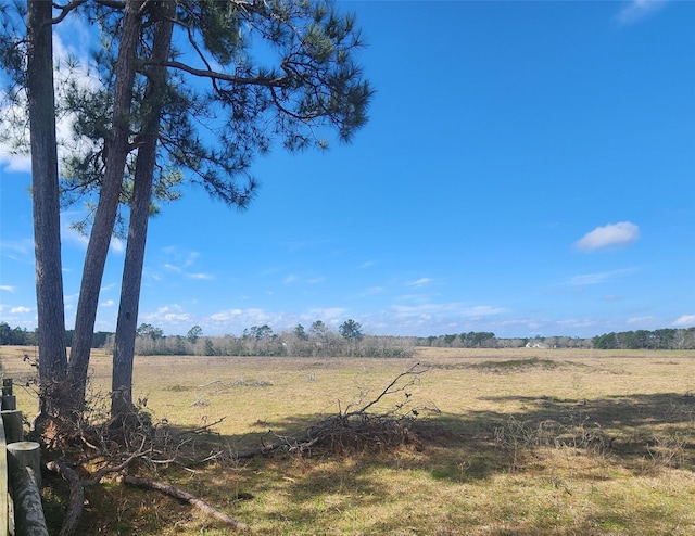 Listing photo 2 for TBD Nelson Rd, Livingston TX 77351