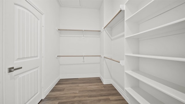 walk in closet featuring dark wood-style floors