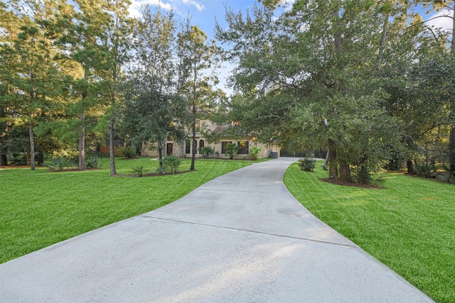 view of home's community featuring a lawn and driveway