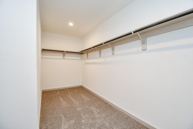 walk in closet featuring carpet floors