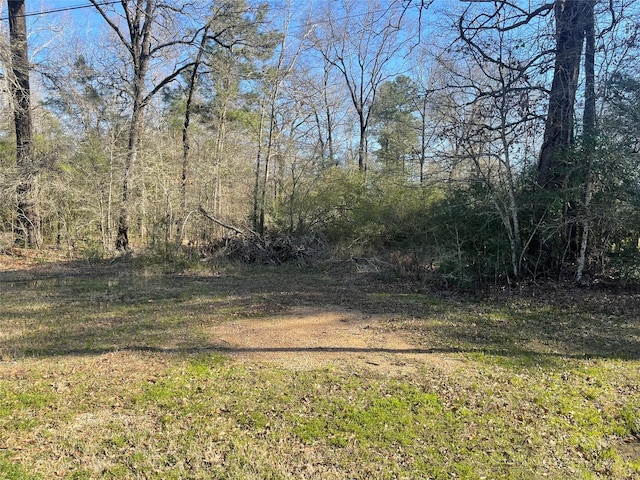 TBD Curran, Livingston TX, 77351 land for sale