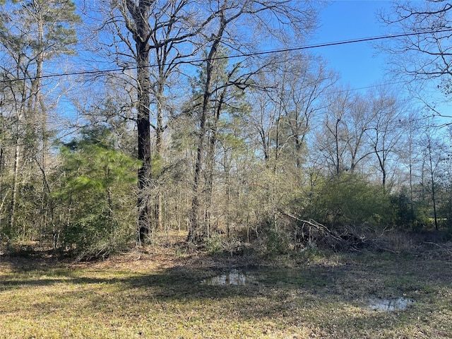 Listing photo 2 for TBD Curran, Livingston TX 77351