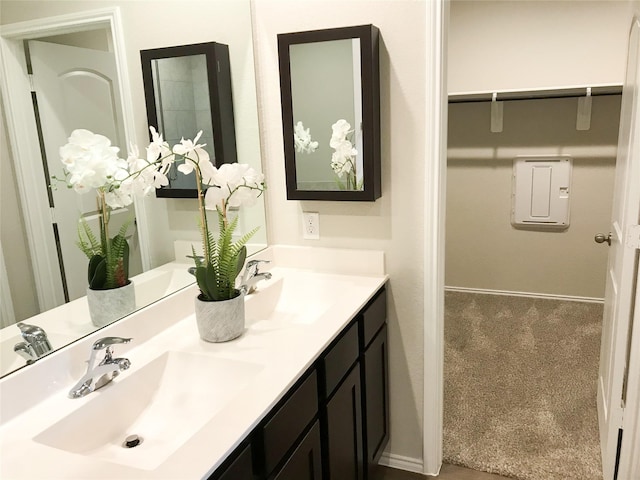 bathroom featuring a sink and double vanity