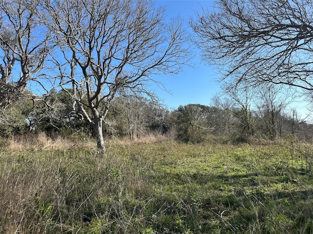 Listing photo 3 for 1E-5E County Road 206th Dr, Sargent TX 77414