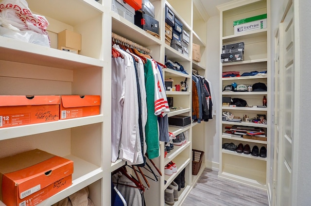 walk in closet featuring wood finished floors