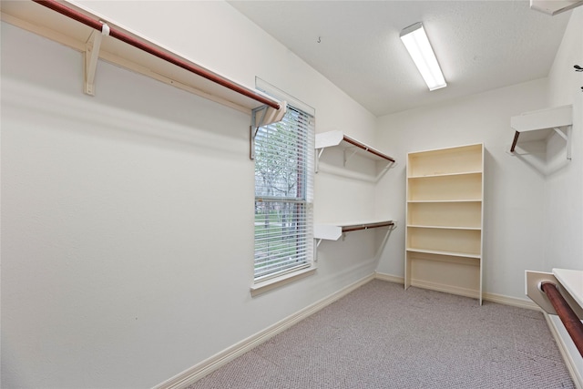 walk in closet featuring light colored carpet