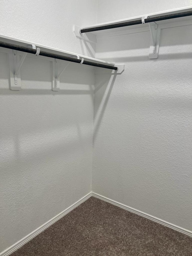 walk in closet featuring carpet flooring