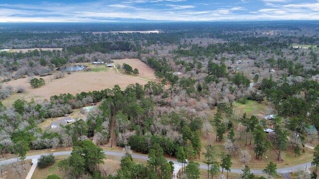 26020 Pine Shadows Dr, Hockley, TX 77447 - photo 6