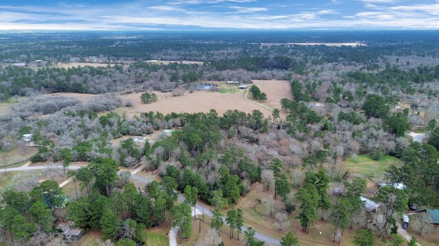26020 Pine Shadows Dr, Hockley, TX 77447 - photo 12
