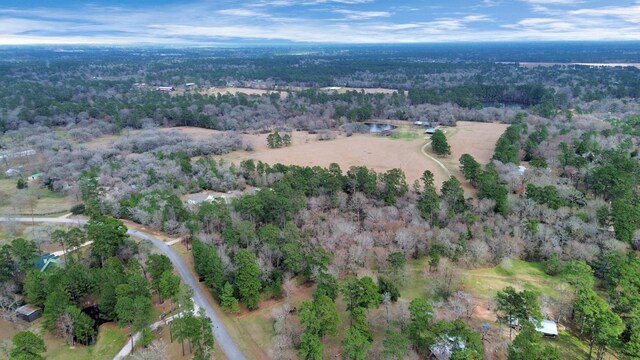 26020 Pine Shadows Dr, Hockley, TX 77447 - photo 17