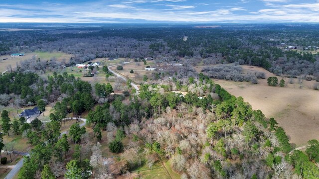 26020 Pine Shadows Dr, Hockley, TX 77447 - photo 13