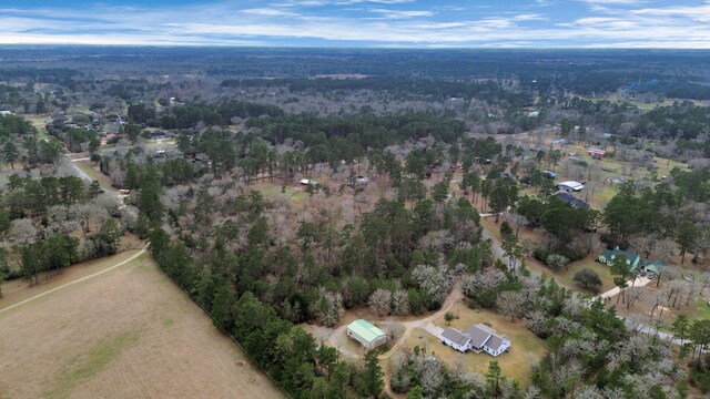 26020 Pine Shadows Dr, Hockley, TX 77447 - photo 15