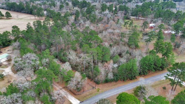 26020 Pine Shadows Dr, Hockley, TX 77447 - photo 22