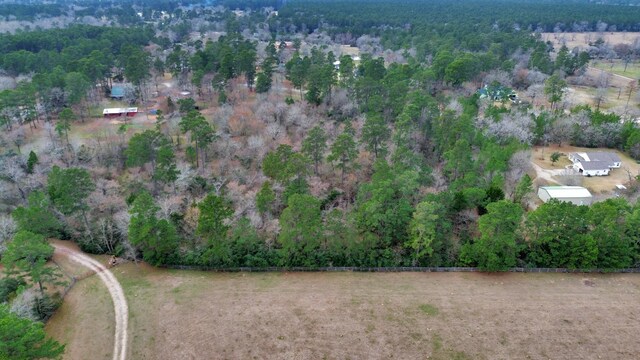 26020 Pine Shadows Dr, Hockley, TX 77447 - photo 23