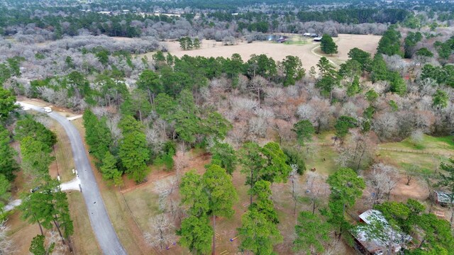 26020 Pine Shadows Dr, Hockley, TX 77447 - photo 24