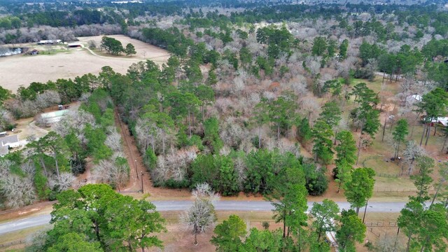 26020 Pine Shadows Dr, Hockley, TX 77447 - photo 26