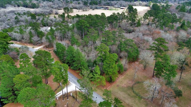 26020 Pine Shadows Dr, Hockley, TX 77447 - photo 27
