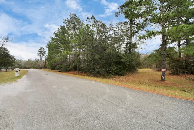 26020 Pine Shadows Dr, Hockley, TX 77447 - photo 11
