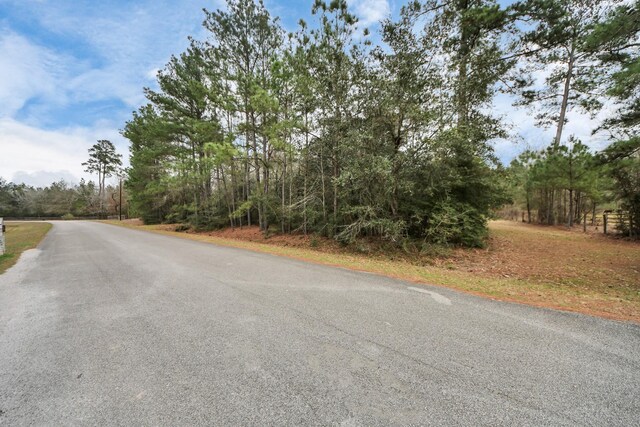 26020 Pine Shadows Dr, Hockley, TX 77447 - photo 28