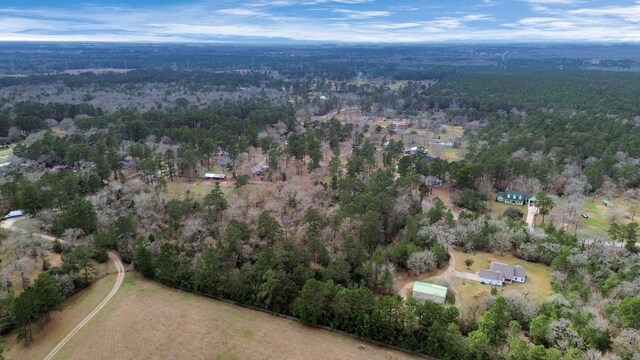 26020 Pine Shadows Dr, Hockley, TX 77447 - photo 31