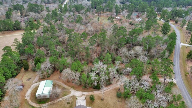 26020 Pine Shadows Dr, Hockley, TX 77447 - photo 32