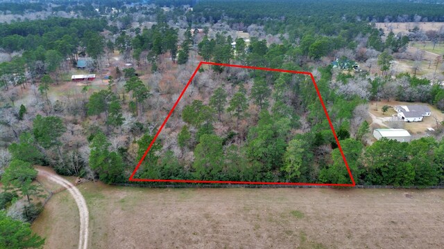 26020 Pine Shadows Dr, Hockley, TX 77447 - photo 38