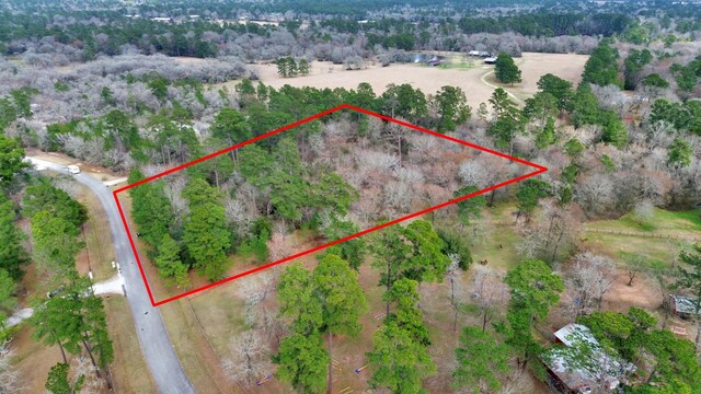 26020 Pine Shadows Dr, Hockley, TX 77447 - photo 39