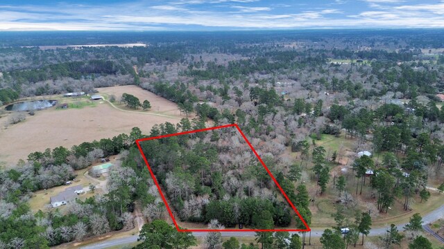 26020 Pine Shadows Dr, Hockley, TX 77447 - photo 40