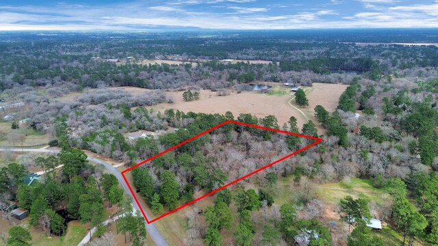 26020 Pine Shadows Dr, Hockley, TX 77447 - photo 8