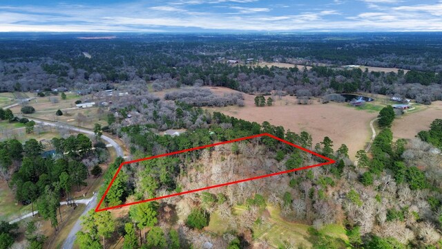 26020 Pine Shadows Dr, Hockley, TX 77447 - photo 41