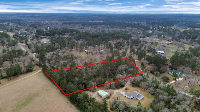 26020 Pine Shadows Dr, Hockley, TX 77447 - photo 19